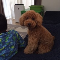 レオン