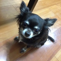 もなか