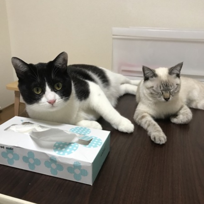 ゆっこ@暴走中のカバー写真