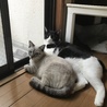 仲良く、2人で外の世界に憧れる 今日この頃w