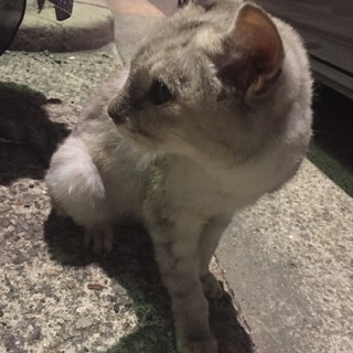 大人しくて良い子です♪