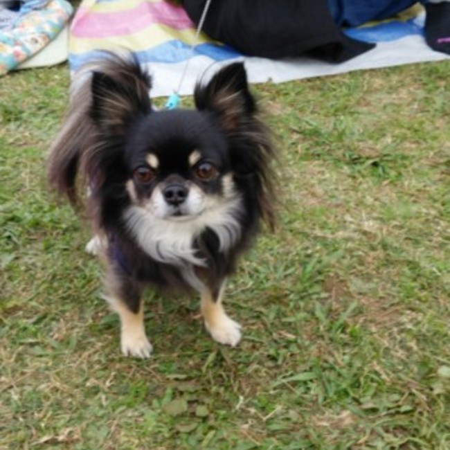 宏枝のカバー写真