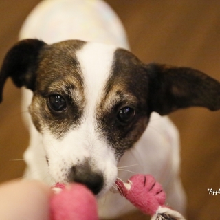 良いご縁に繋がりました！