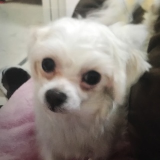 誰か大切にして下さい！