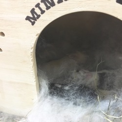 「赤ちゃんピッチピッチ！」サムネイル2