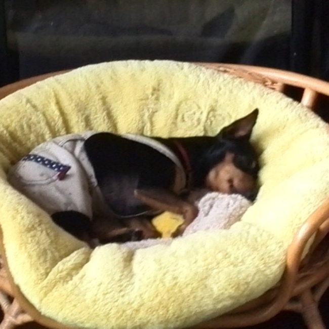 春鷹ママのカバー写真