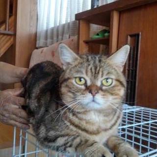 決まりました！ありがとうございました！