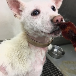 「船穂キャンディーズをよろしく→皆家族ができました！」サムネイル1