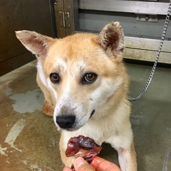 「船穂キャンディーズをよろしく→皆家族ができました！」サムネイル2