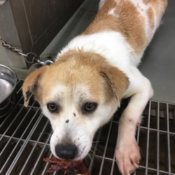 「船穂キャンディーズをよろしく→皆家族ができました！」サムネイル3