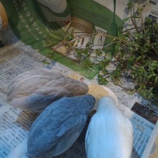 お申し込み、本当にありがとうございました