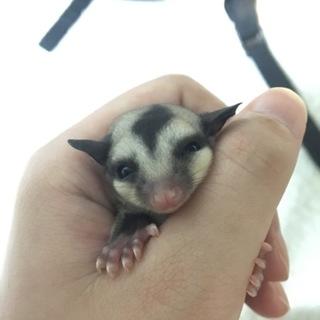 良いご縁に巡り会えました。