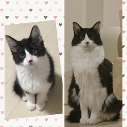 ３匹の大きさは…？