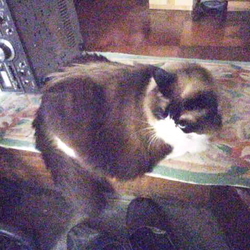 「うにちゃん、怪我しましたね？」サムネイル2