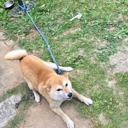 「大きくなりました」サムネイル2