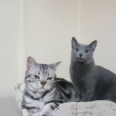 ツーショット！