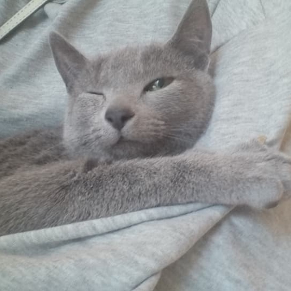 空汰のカバー写真