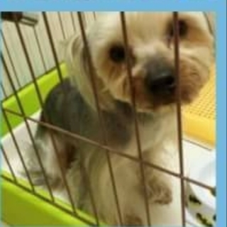 【至急】可愛がってくれる方募集します！