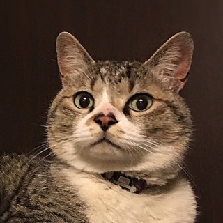 募集一時停止中☆ぴょん太君