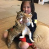 らんらんにゃんこ(保護活動者)