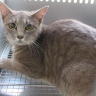 お家に迎えて頂きました。