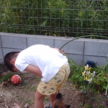 小学校1年生の子どもとじゃれ合っています。