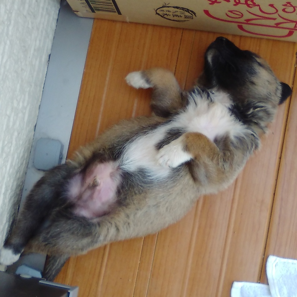 西村　慶子のカバー写真