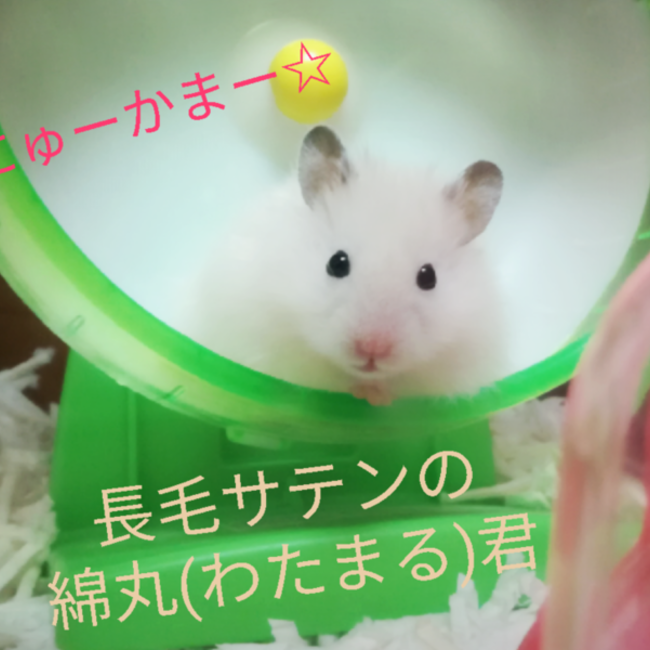 亜砂都あずさのカバー写真