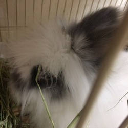 「元気です」サムネイル2