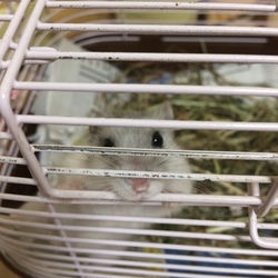 「元気です」サムネイル3