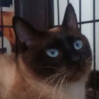 9/3銀座★たぬ吉くん★ワイルドだろ～