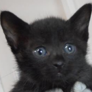 愛護団体様に引き出されました。