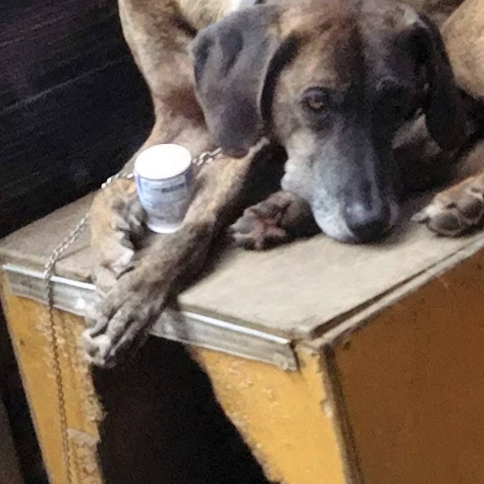 ANDYのカバー写真