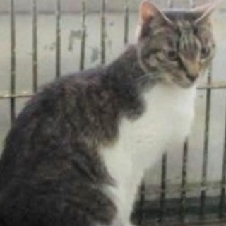 お迎え頂き本当に有難うございました。