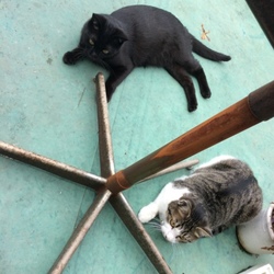 「ハピバ」サムネイル3