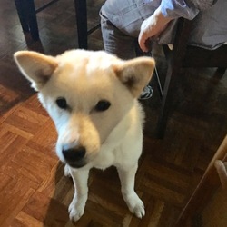 「久しぶりの…」サムネイル2