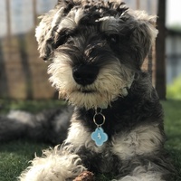 つむ♂といと♀