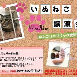 いぬ・ねこ譲渡会