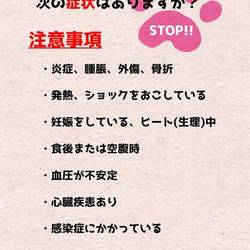 いぬ・ねこ譲渡会 サムネイル3