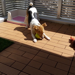 ベランダにシェード張りました