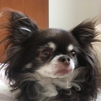ルビー