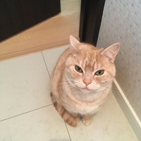 みっくん