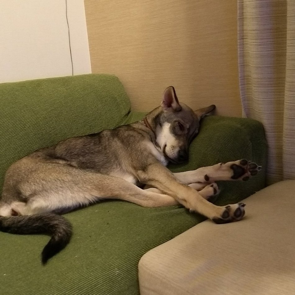 ビリーのカバー写真