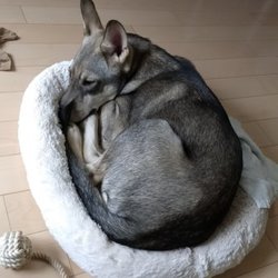 「大きくなりました！」サムネイル2