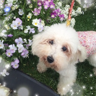 素敵な家族ができました！ありがとうございました♪