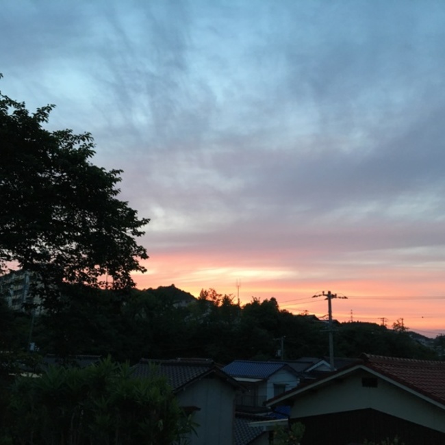 tcdのカバー写真