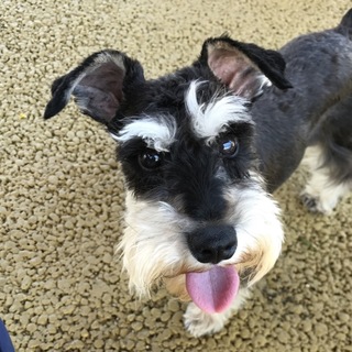 甘えたでヤンチャな男の子♪