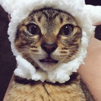 うらん