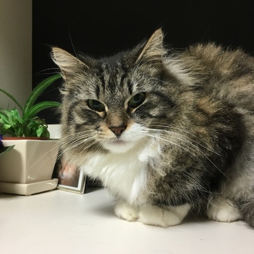 カメラ目線♪(´ω｀)