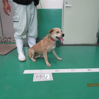 預かり様のところにいます